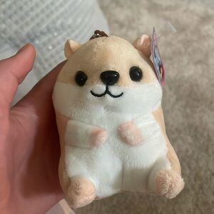 Guinea pig belly, buddy